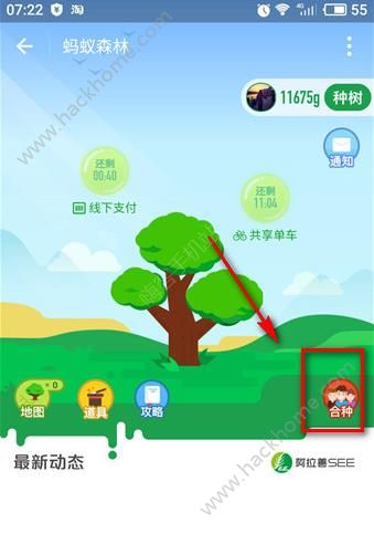 树林的树字怎么组词呀