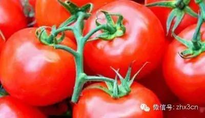 番茄的番饭怎么组词