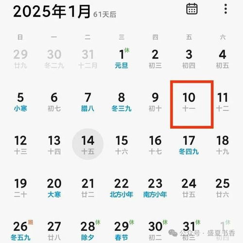 保应该怎么组词和拼音