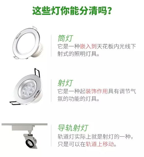 射怎么组词