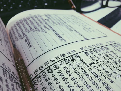 木怎么组词眼睛木