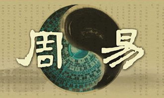 藉怎么组词卜