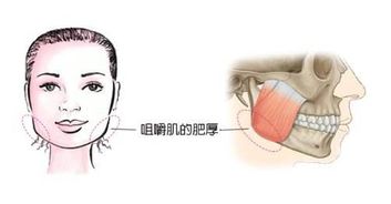咀嚼的咀组词