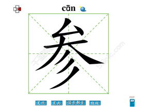 参能怎么组词