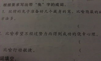 兔突怎么组词