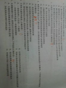 恐龙化石怎么组词和拼音