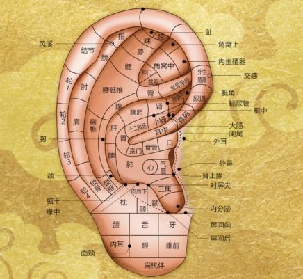 迷失方向怎么组词耳朵