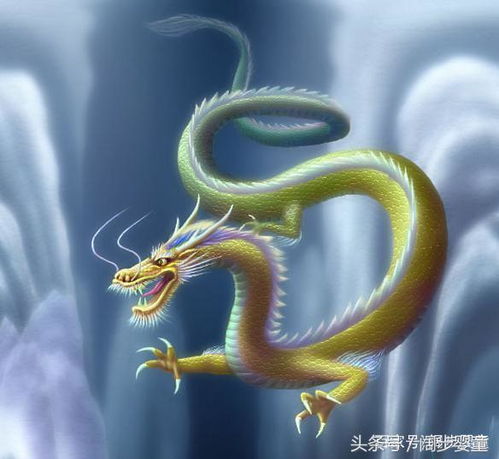 隆化龙怎么组词