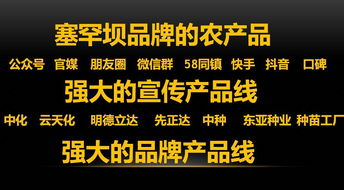 隆化龙怎么组词