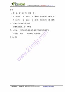 飘着的漂还可以怎么组词