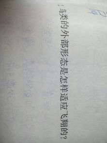 飞翔的翔怎么组词