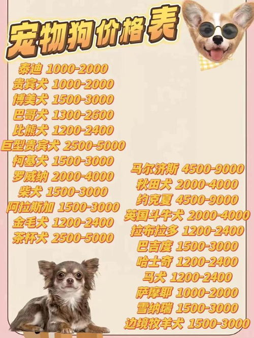 购买购买的狗怎么组词