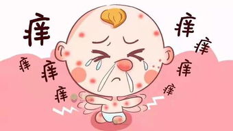 小布小布鼻子鼻怎么组词