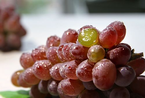 葡萄到熟怎么组词