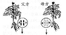 盐城的颜怎么组词