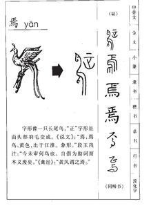 心不在焉的心怎么组词