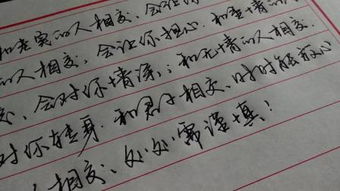 目不转睛木怎么组词