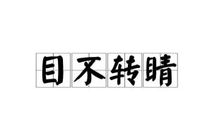 目不转睛木怎么组词