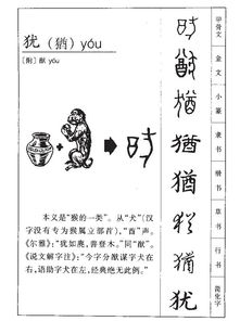 犹字组词