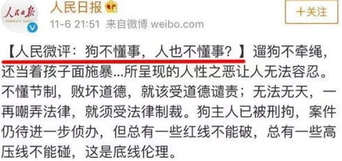 懂事的懂组词