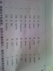 属怎么组词语