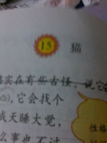 用猫这个字怎么组词呢