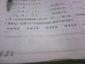 舟的组词怎么