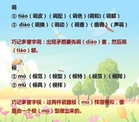 组词懂