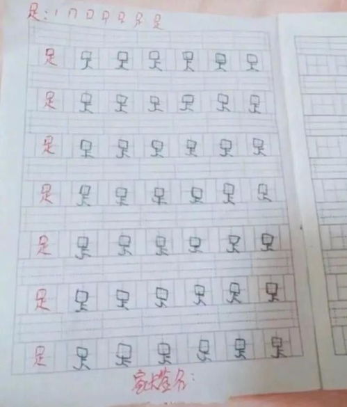 马前足的足怎么组词