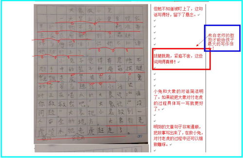 烹的读法和组词怎么写