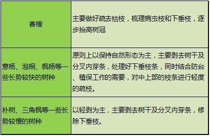牙芦芽的芽怎么组词