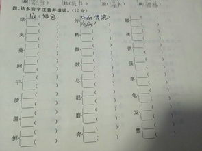 题这道题怎么组词