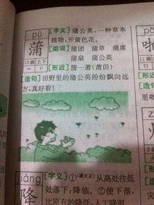 非常长可以怎么组词