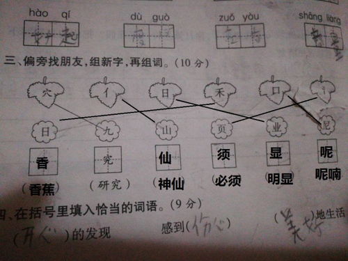 友字怎么组词