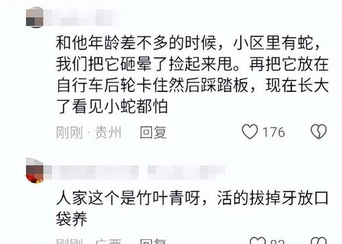 锅怎么组词拔