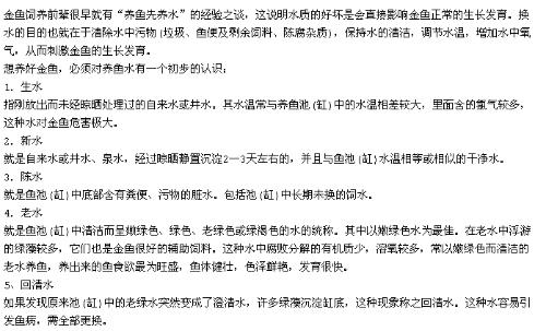 喂饱的喂该怎么组词