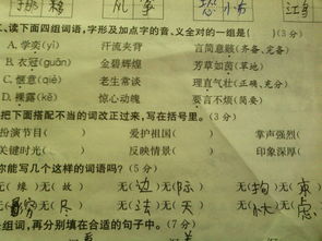 双怎么组组词