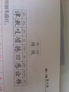 双怎么组组词