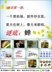 字谜可以怎么组词