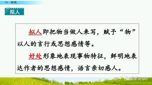鸡是怎么组词