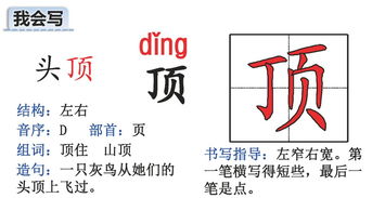 贵怎么组词部首