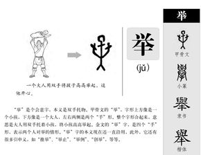 器官的关可以怎么组词