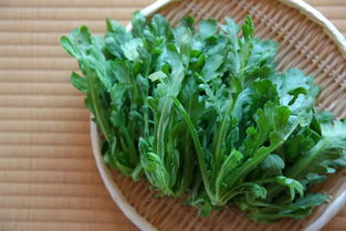 茼蒿的茼怎么组词呀