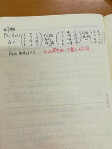 大跟无怎么组词语