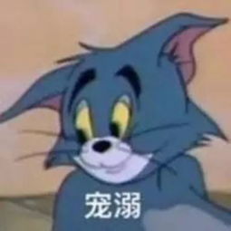 猫和老鼠是怎么组词的