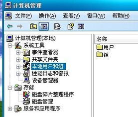 户怎么样组词啊
