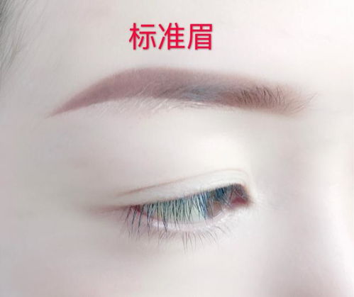 眉毛的毛字怎么组词
