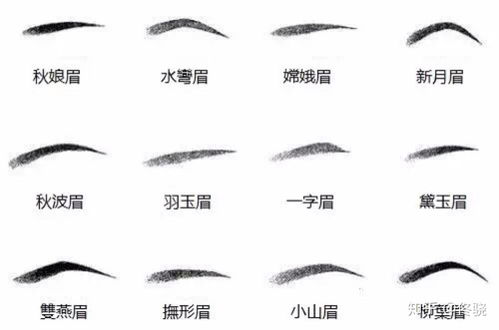眉毛的毛字怎么组词