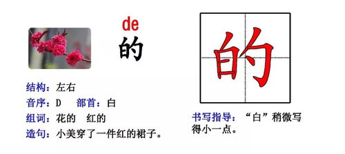 使去部首怎么组词