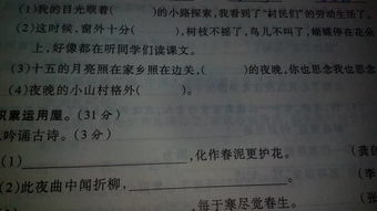 扮静怎么组词